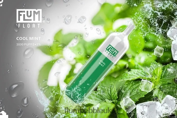 Cool Mint
