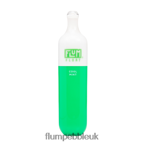 FLUM FLOAT 3000 PUFFS | Flum Pebble Vape Flavors R6464B25 Cool Mint