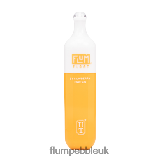FLUM FLOAT 3000 PUFFS | Flum Pebble Vape Flavors R6464B75 Strawberry Mango