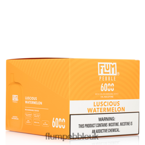 FLUM PEBBLES 6000 PUFFS 10 PACKS | Flum Pebble UK R6464B51 Luscious Watermelon