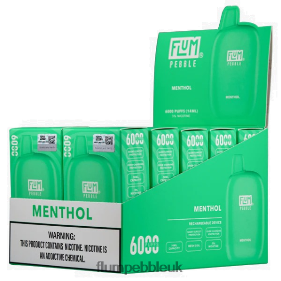 FLUM PEBBLES 6000 PUFFS 10 PACKS | Flum Pebble Vape Price R6464B58 Menthol