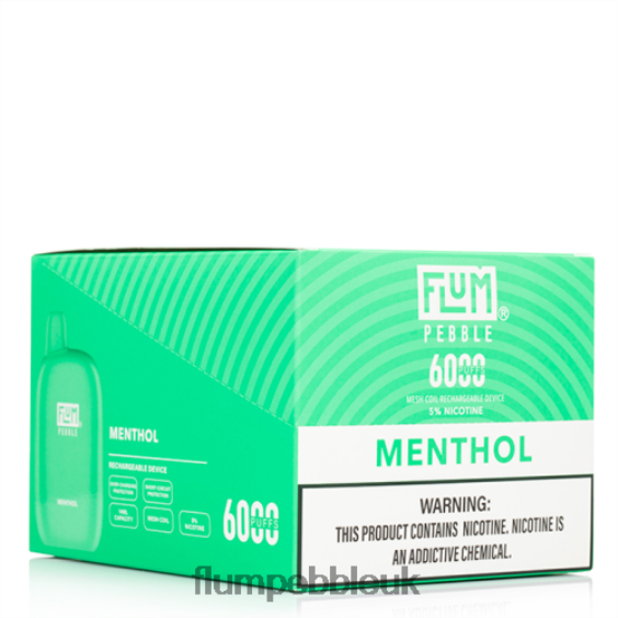 FLUM PEBBLES 6000 PUFFS 10 PACKS | Flum Pebble Vape Price R6464B58 Menthol