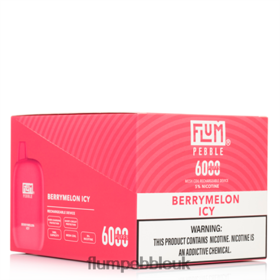 FLUM PEBBLES 6000 PUFFS 10 PACKS | Flum Pebble Vape Price R6464B8 Berrymelon Icy