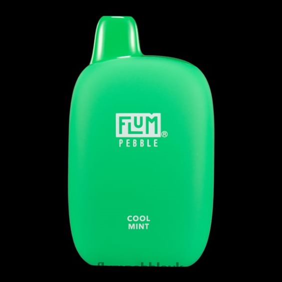 FLUM PEBBLES 6000 PUFFS | Flum Pebble Vape Near Me R6464B24 Cool Mint