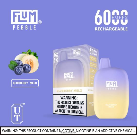 FLUM PEBBLES 6000 PUFFS | Flum Pebble Vape Review R6464B16 Blueberry Melo
