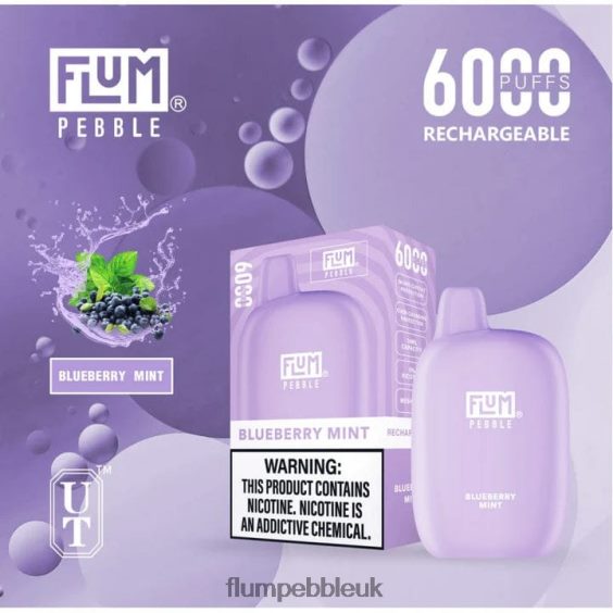 FLUM PEBBLES 6000 PUFFS | Flum Pebble Vape Website R6464B17 Blueberry Mint